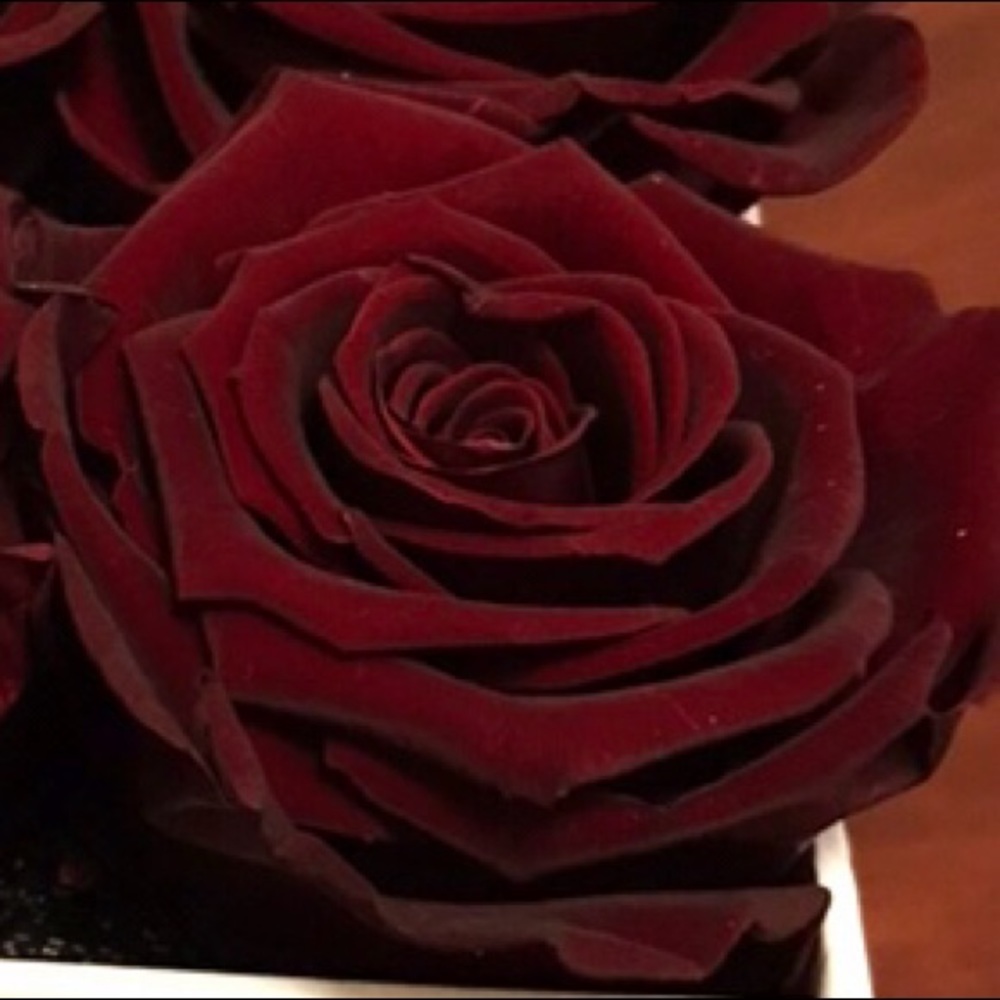 Meet your Posher, Bridget